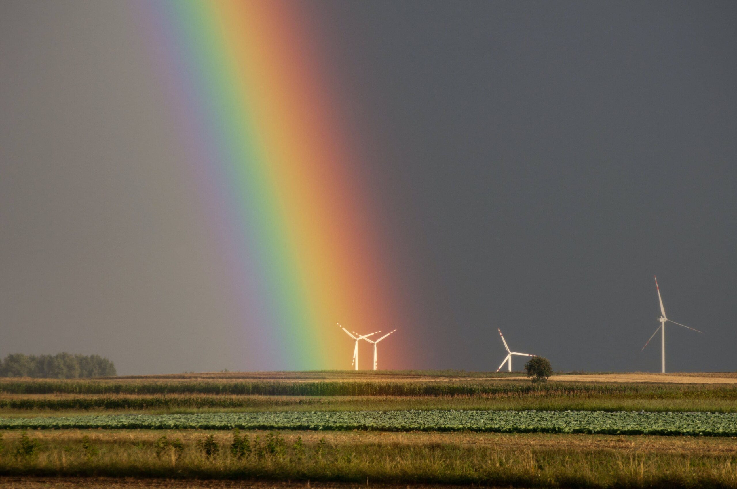 Estrategias para la agricultura resistente al cambio climático