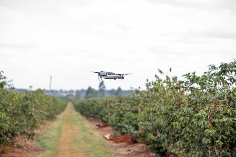La revolución del campo: la tecnología agrícola que maximiza la productividad