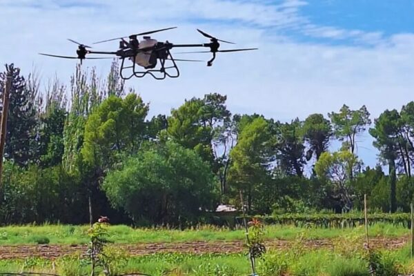 Los drones, una herramienta para ahorrar dinero y ganar sustentabilidad en el control de malezas Los drones, una herramienta para ahorrar dinero y ganar sustentabilidad en el control de malezas