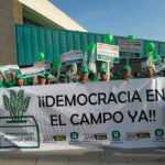 Sigue el pulso en el campo: Unión asume que no habrá elecciones a nivel estatal en el campo pero defienden la representatividad de todos Sigue el pulso en el campo: Unión asume que no habrá elecciones a nivel estatal en el campo pero defienden la representatividad de todos