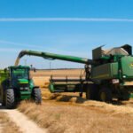 Repetición de precio en los cereales de la lonja de León, pero con mucho nerviosismo en todos los mercados