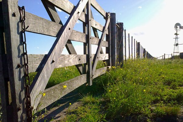 ¿Volvió el interés por invertir en campos?: crecen las consultas, incluso para zonas marginales ¿Volvió el interés por invertir en campos?: crecen las consultas, incluso para zonas marginales