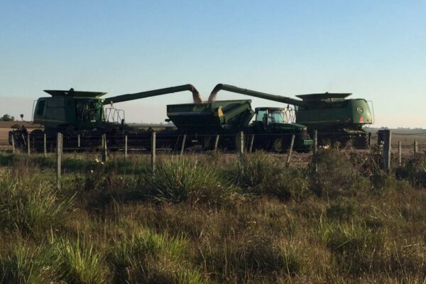 “En el agro, el mercado argentino es el futuro, porque tiene un potencial que otros no tienen”