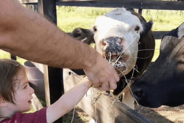 Día del Animal: ¿por qué se celebra cada 29 de abril en Argentina? Día del Animal: ¿por qué se celebra cada 29 de abril en Argentina?