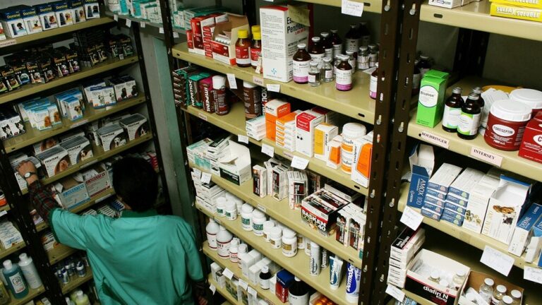 Los productos veterinarios deberán venderse en Argentina con “buenas prácticas de manufactura”