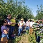 Denuncian una subida del seguro agrario del tomate del 121% Denuncian una subida del seguro agrario del tomate del 121%