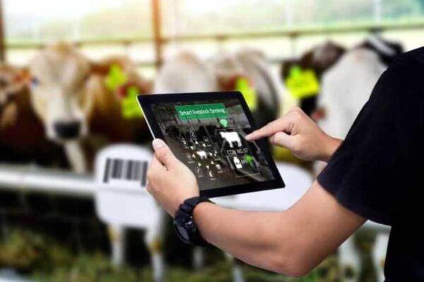 Robots con buena leche: más del 20% de los tambos argentinos ya son “inteligentes” Robots con buena leche: más del 20% de los tambos argentinos ya son “inteligentes”