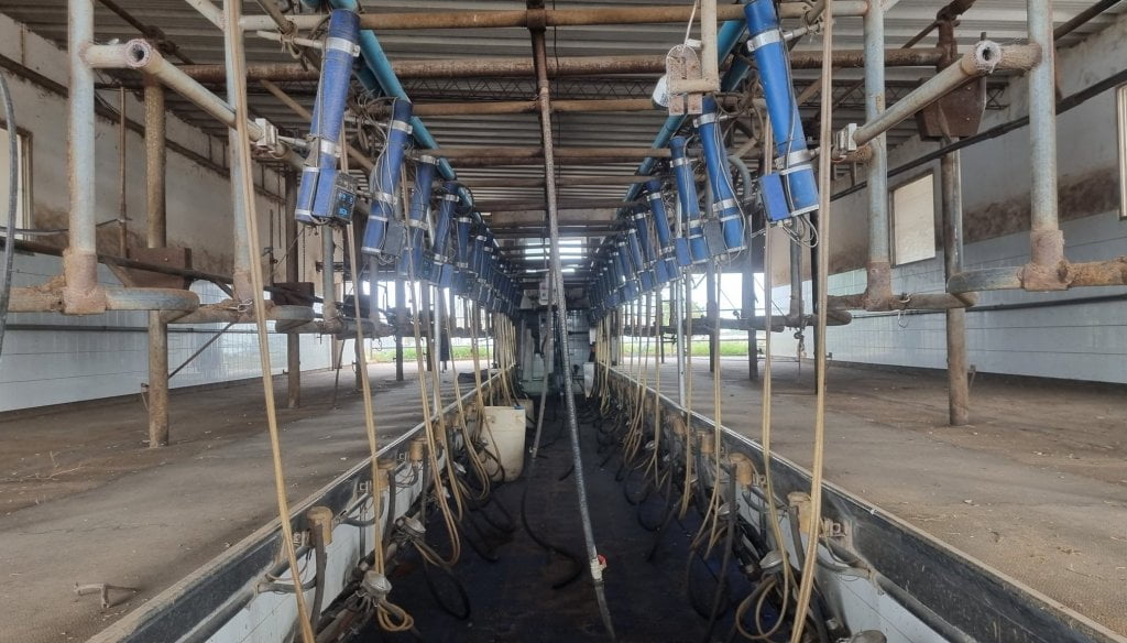 Crisis lechera: quedan menos de 10.000 tambos en Argentina, la cifra más baja en al menos 40 años