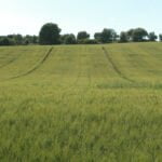 Huesca y Albacete/Valencia acogerán dos Jornadas sobre “Agricultura de Conservación en Cultivos Extensivos” para técnicas de Siembra Directa