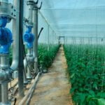 La Junta de Andalucía incentiva la modernización de 6.500 explotaciones agrarias con 200 millones en ayudas