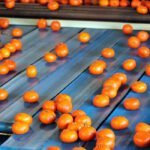 Viaje de Intercitrus: hasta aquí llegamos las cooperativas Viaje de Intercitrus: hasta aquí llegamos las cooperativas