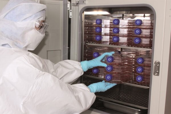 La carne cultivada y un paso fundamental en Reino Unido: se autorizó para su venta