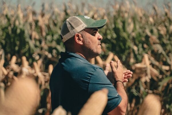Tras una campaña marcada por la chicharrita, el maíz quiere apuntalar su producción desde la genética