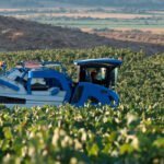 MAPA y MITECO han dejado sin ejecutar 2.590 millones de euros en 2022 y 2023 en agricultura, medio rural, medio ambiente y agua