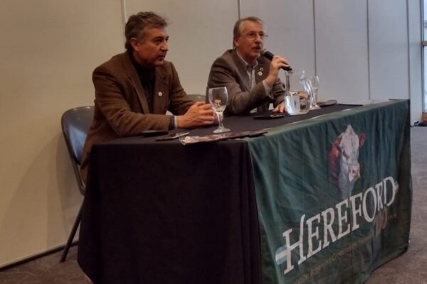 Hereford Argentina alcanzó un siglo de vida y lo celebrará en septiembre en Palermo