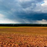 El impacto de la meteorología en la agricultura y el fundamental papel de la monitorización de cultivos