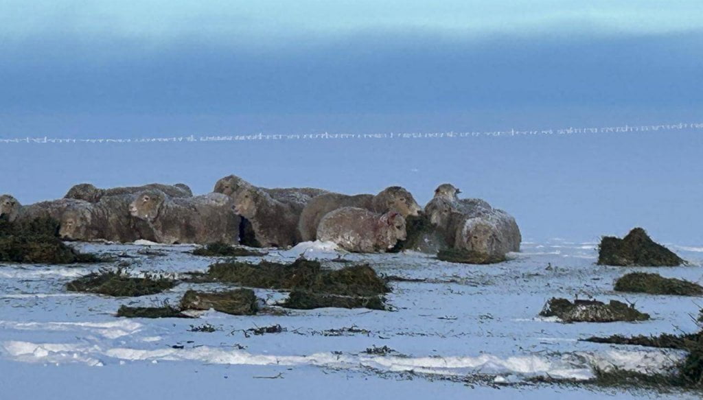 Una ayuda contra la nieve: Santa Cruz y Chubut registraron temperaturas entre las más altas del país