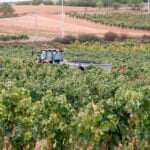 El vino reúne a los viejos amigos: Los viticultores de ASAJA, COAG y UPA aprueban propuestas conjuntas para pedir ayudas y garantizar su futuro
