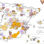 Impulso demográfico: los pueblos con viñedo mantienen cerca de un 53% más de población que los que carecen de él