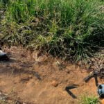 Se quejan de que «haya muchos efectivos para vigilar a los agricultores y denunciarlos y pocos para vigilar que no nos roben» Se quejan de que «haya muchos efectivos para vigilar a los agricultores y denunciarlos y pocos para vigilar que no nos roben»