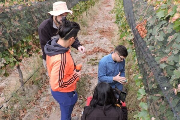 Mapeos térmicos, una defensa efectiva contra las heladas en viñedos