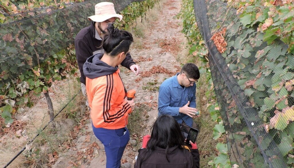 Mapeos térmicos, una defensa efectiva contra las heladas en viñedos