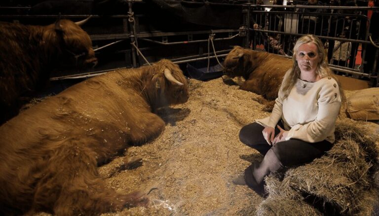 Razas y animales únicos en Argentina y el mundo: 5 curiosidades para ver en La Rural 2024