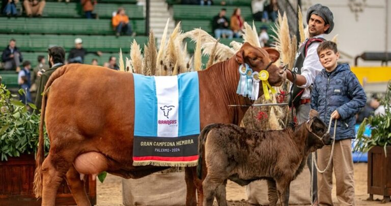 Los grandes campeones bovinos comenzaron a desfilar por la pista de Palermo