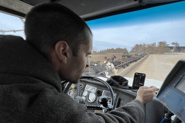 La fundaron argentinos y se hace global desde EEUU: la agtech que busca “armar el rompecabezas ganadero”