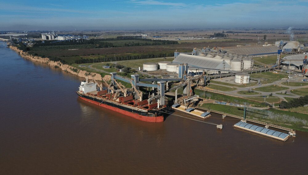 El trío que sostiene las exportaciones: 4 de cada 10 dólares los aportan la soja, el maíz y el trigo