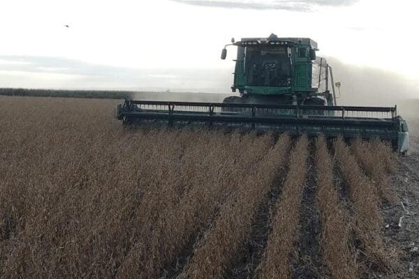 La soja, otra vez un “salvavidas”: el Gobierno recaudará U$S 3.200 millones más que el año pasado