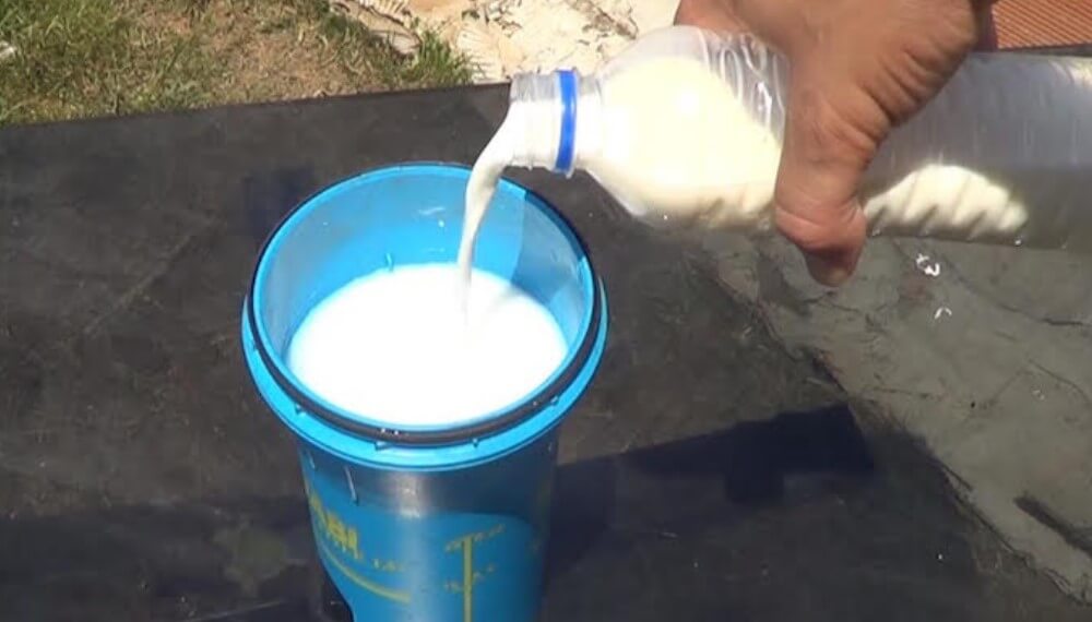 Fungicida casero hecho con leche, súper eficaz para eliminar hongos de la huerta