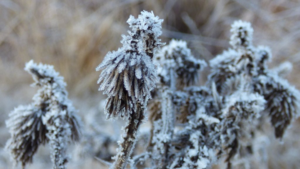 La ola polar no da tregua: hay 9 provincias en alerta roja por temperatura extrema