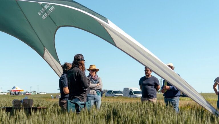 La nutrición integral y combinada comienza a estar en el centro de la escena