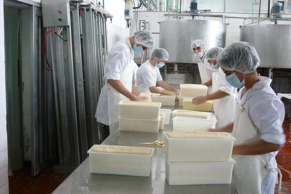 El ranking de las industrias lácteas: ¿cuáles son las empresas que más leche procesan en Argentina?