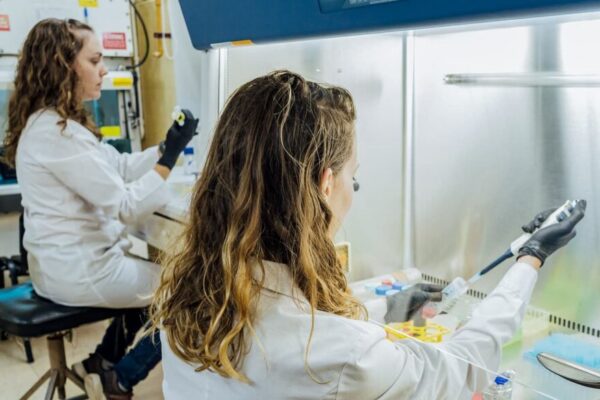 I+D en el campo: la inversión genética también germina brotes verdes en la vid y el olivo