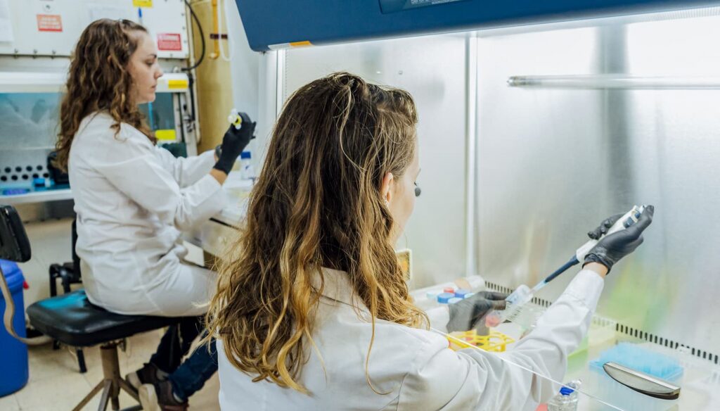 I+D en el campo: la inversión genética también germina brotes verdes en la vid y el olivo