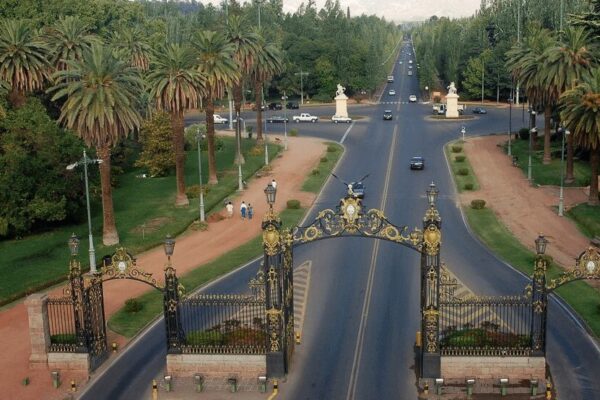 “Ciudades verdes”: una provincia argentina fue premiada por la FAO por su plan de arbolado
