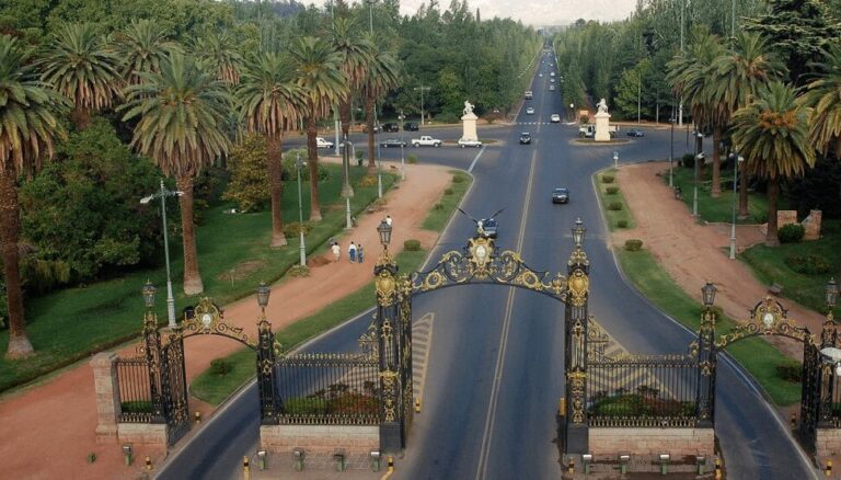 “Ciudades verdes”: una provincia argentina fue premiada por la FAO por su plan de arbolado