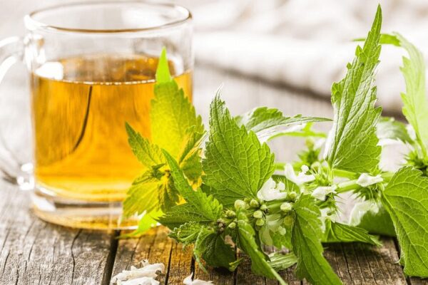 Cómo se prepara el té de ortiga
