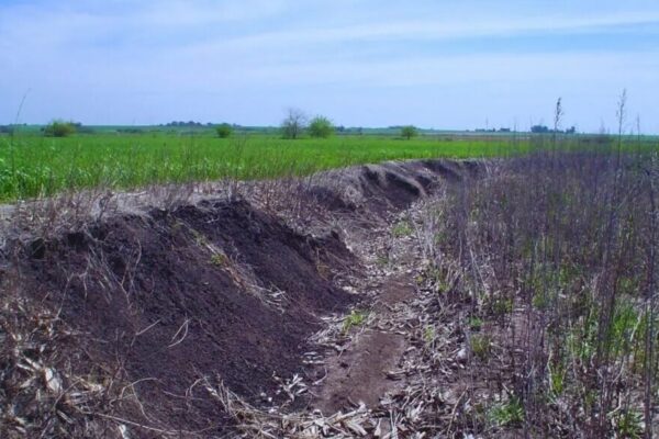 Conservación de suelos: en Entre Ríos desarrollaron una tecnología única para calcular la erosión
