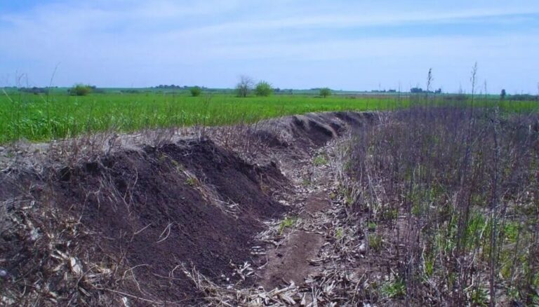 Conservación de suelos: en Entre Ríos desarrollaron una tecnología única para calcular la erosión