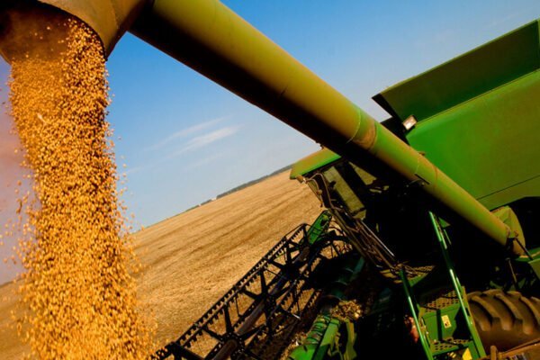 Las cosechas récord en todo el mundo presionan a la baja los precios de los principales granos