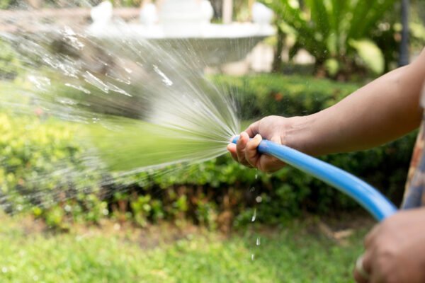 Cómo regar adecuadamente las Plantas de tu jardín