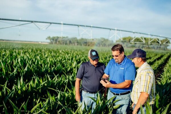 Una encuesta nacional reconoce al agro como el sector que más contribuye al desarrollo de Argentina