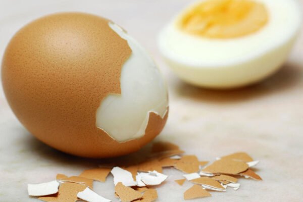 Salmonella en alimentos contaminados: cómo prevenirla