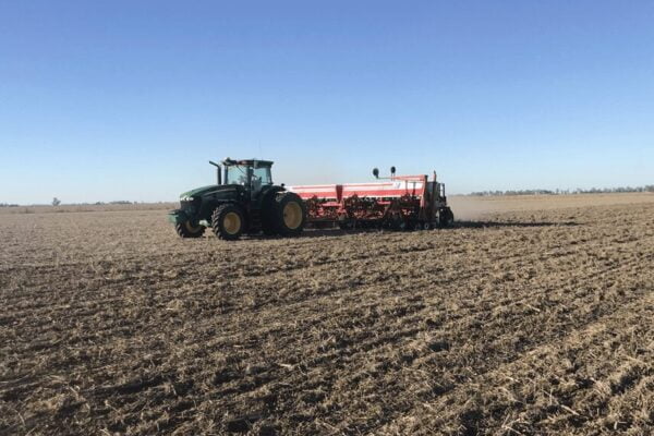 Con el trigo también: los productores sostienen la intención de usar tratamientos biológicos en semillas