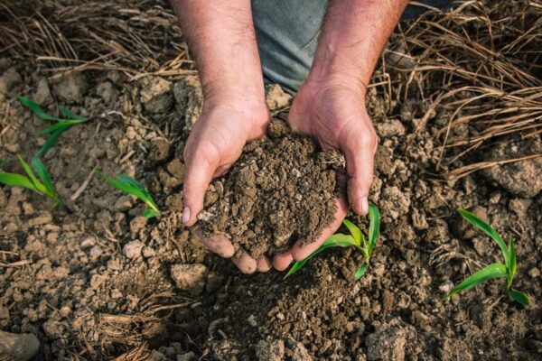 La Mesa Argentina de Carbono se amplía y pide una normativa que incentive proyectos sustentables