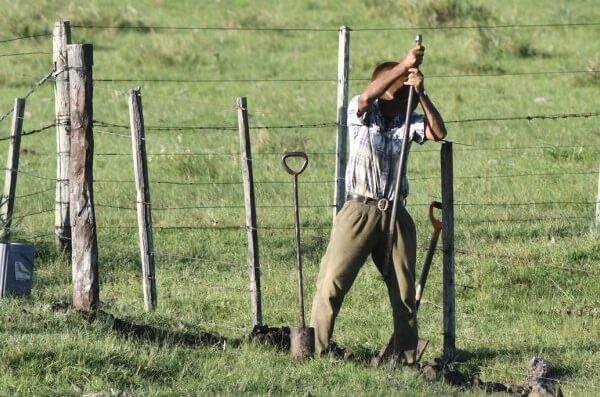 Aumento del 7% para trabajadores rurales: las nuevas escalas salariales, a partir de julio