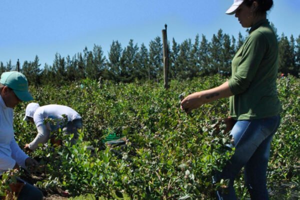El gremio de los trabajadores rurales retomó el control de Osprera, su obra social